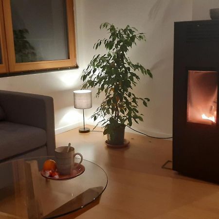 La Ticinella Apartman Losone Kültér fotó