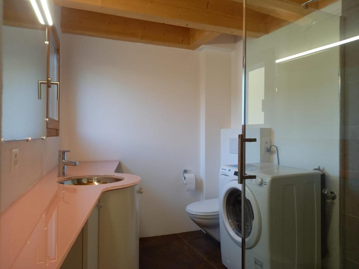 La Ticinella Apartman Losone Kültér fotó