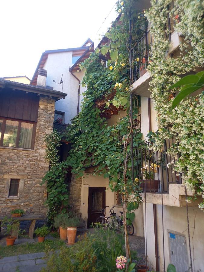 La Ticinella Apartman Losone Kültér fotó
