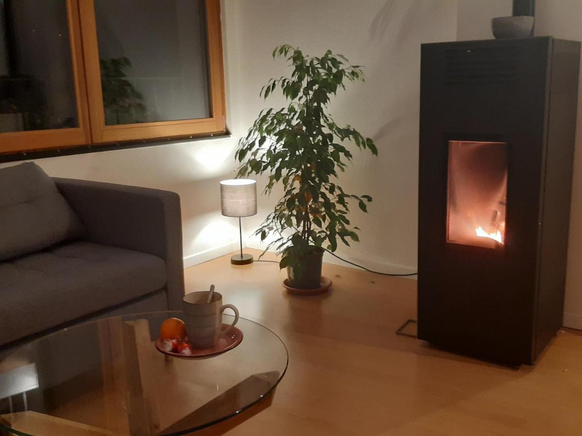 La Ticinella Apartman Losone Kültér fotó